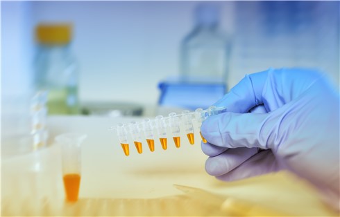 HVEM, Fc fusion, Biotin-labeled (Human) Recombinant