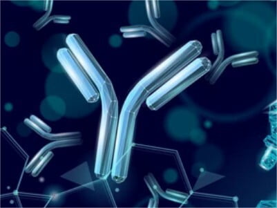 Antibody Biotinylation Services