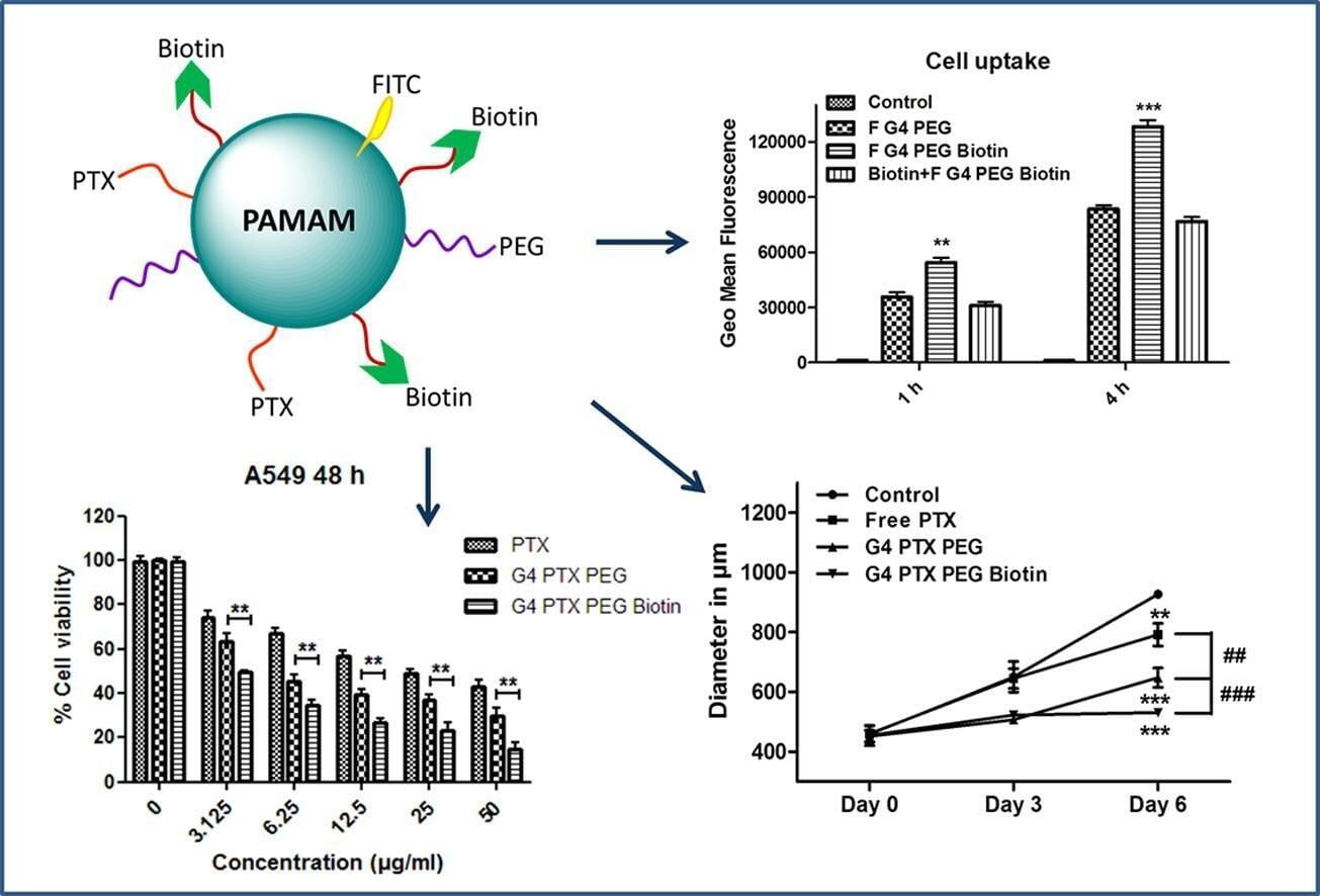 G4 PAMA dendrimer system for specific delivery of paclitaxel (PTX) to cancer cells for highly effective therapy