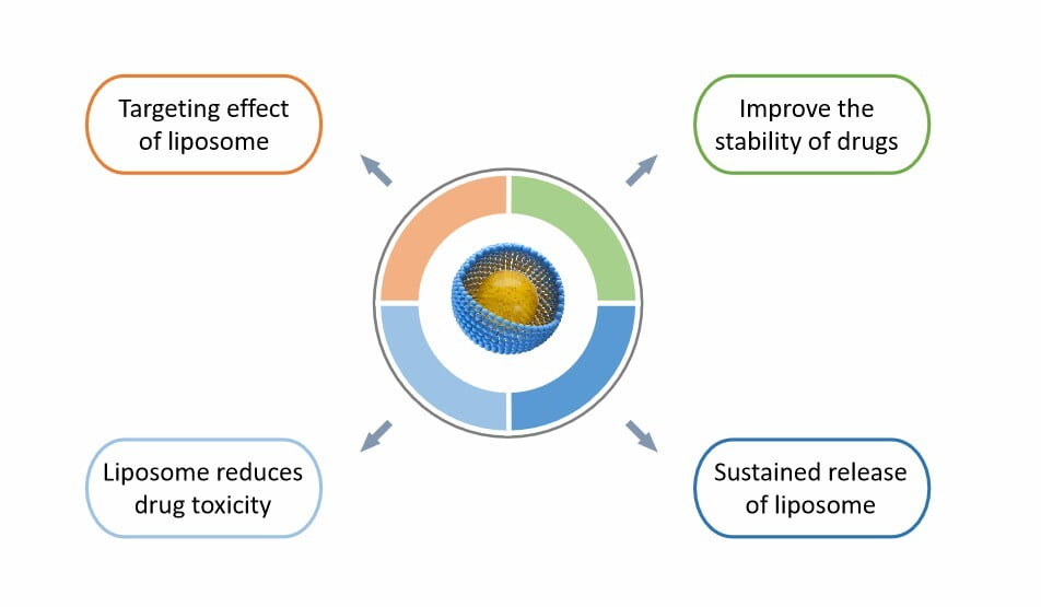 Liposomes can be used for efficient drug delivery and can be used in a variety of systems