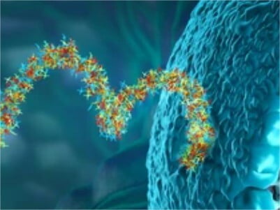 High-throughput Protein Biotinylation