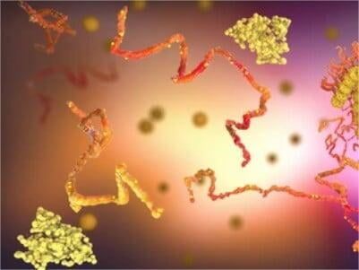 In Vitro Enzymatic Biotinylation of Proteins