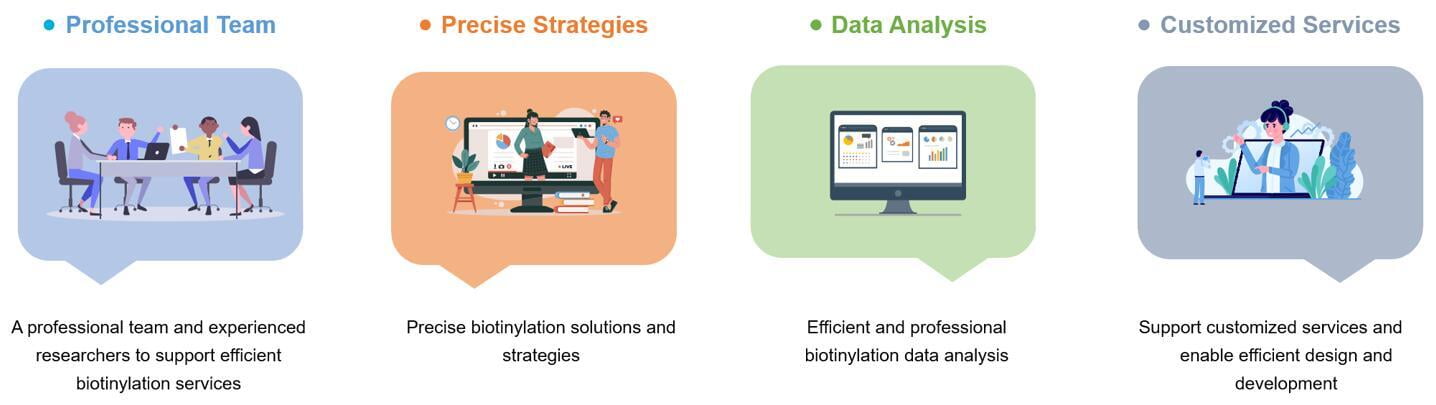 We support advanced biotinylation services to meet customer needs