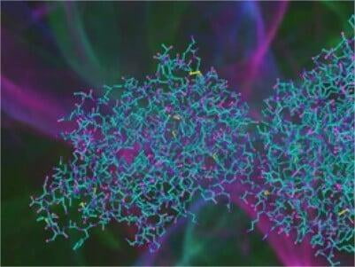 In Vivo Enzymatic Biotinylation of Proteins