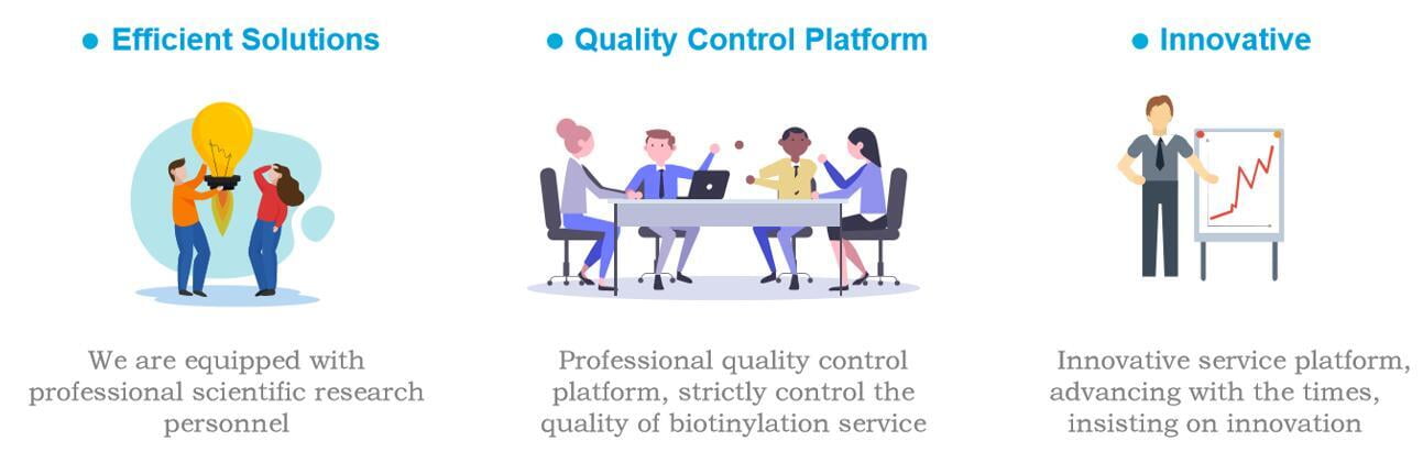 Innovative biotinylation platform and quality control system, capable of providing satisfactory biotinylation services to global customers