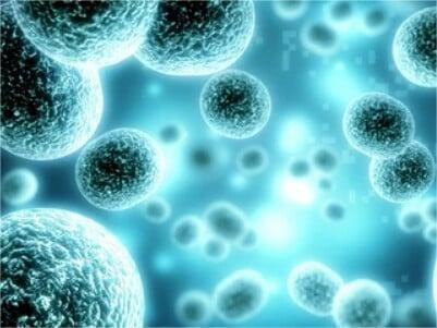 Metabolic Biotinylation on Cell Surface