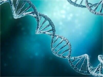 Nucleic Acid Delivery Based on Avidin-biotin System