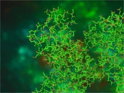 Biotinylated Expression, Purification and Characterization