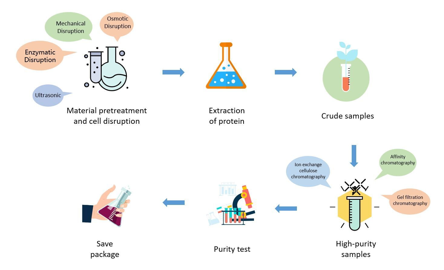 Protein isolation and purification process