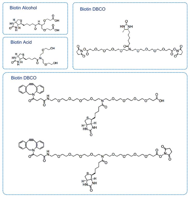 Fig.1 Examples of Types of Branched Biotin Reagents.