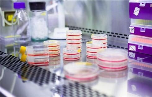 biotinylation-alfa chemistry-career-2