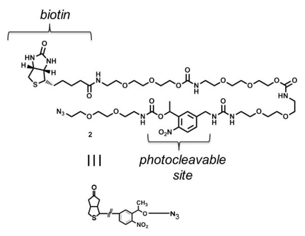 Fig.1 Photocleavable biotin