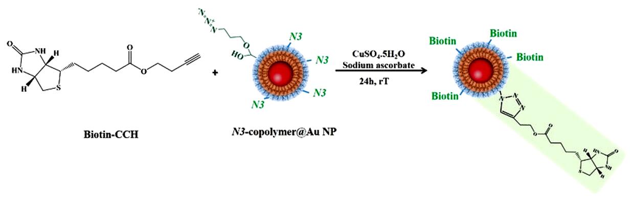 Fig.1 Schematic illustration of the biotinylation of N3-copolymer Au nanoparticles through a click chemistry reaction.