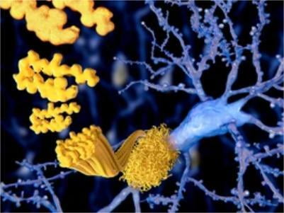 In Vivo Biotinylated Expression System