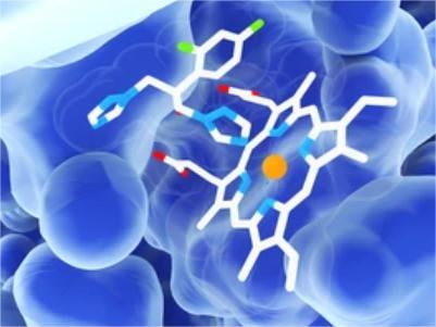 In Vivo Biotinylation Assay