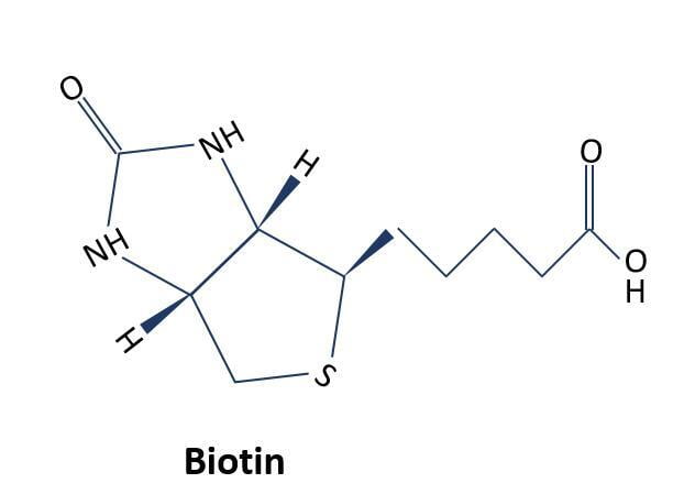 In Vivo Biotinylation of Peptide Complexes