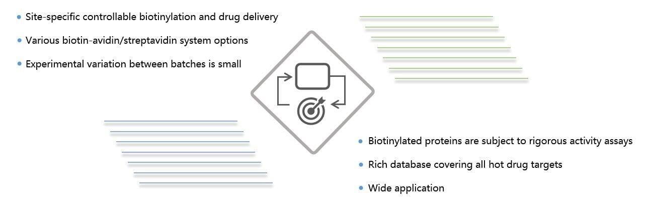 A specialized platform that provides efficient protein biotinylation services for efficient drug delivery