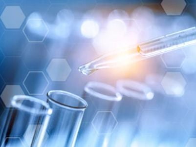 Protein Biotinylation Detection